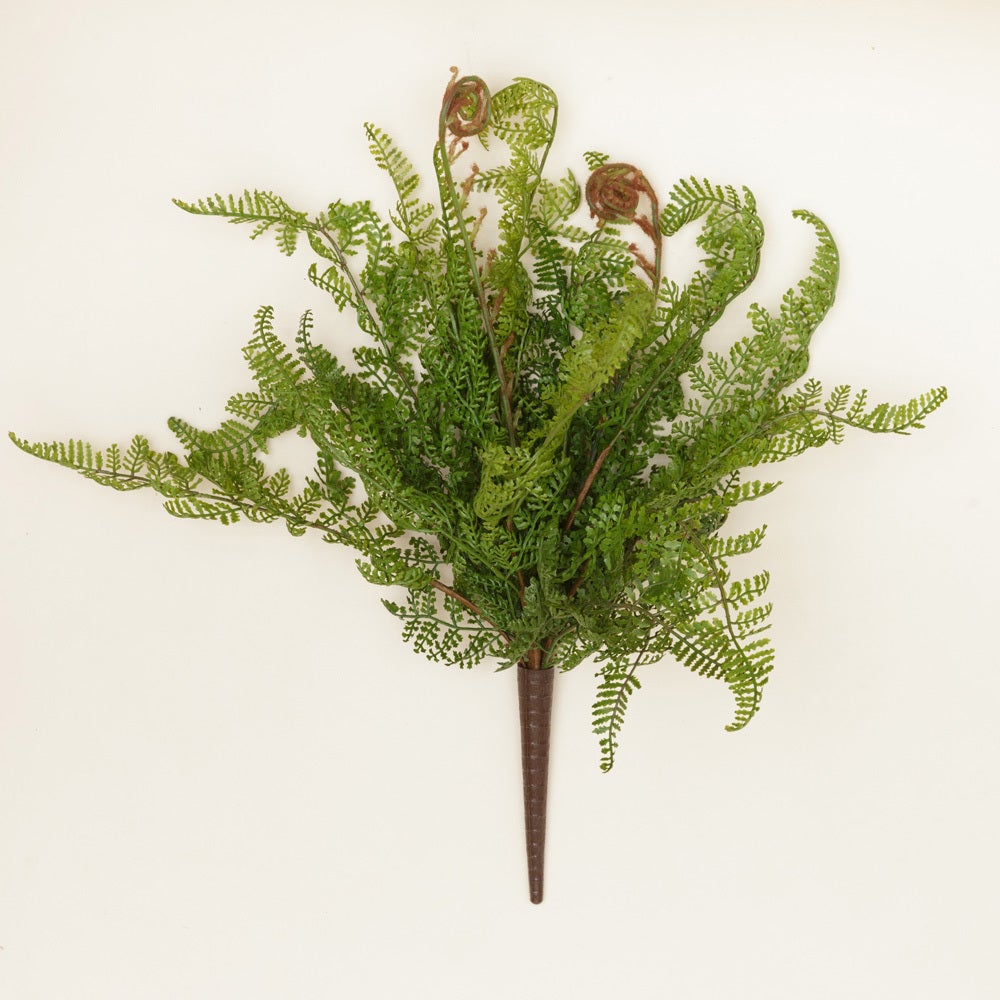 FERN BOTANIQUE & WHITE COTTAGE