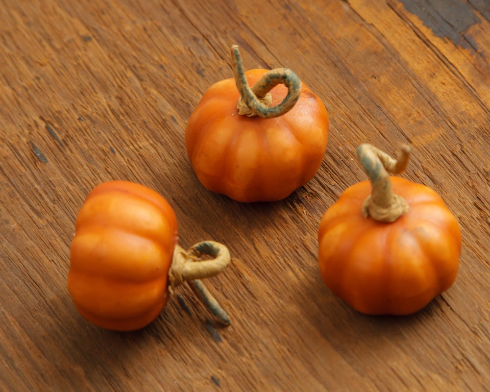 FALL
