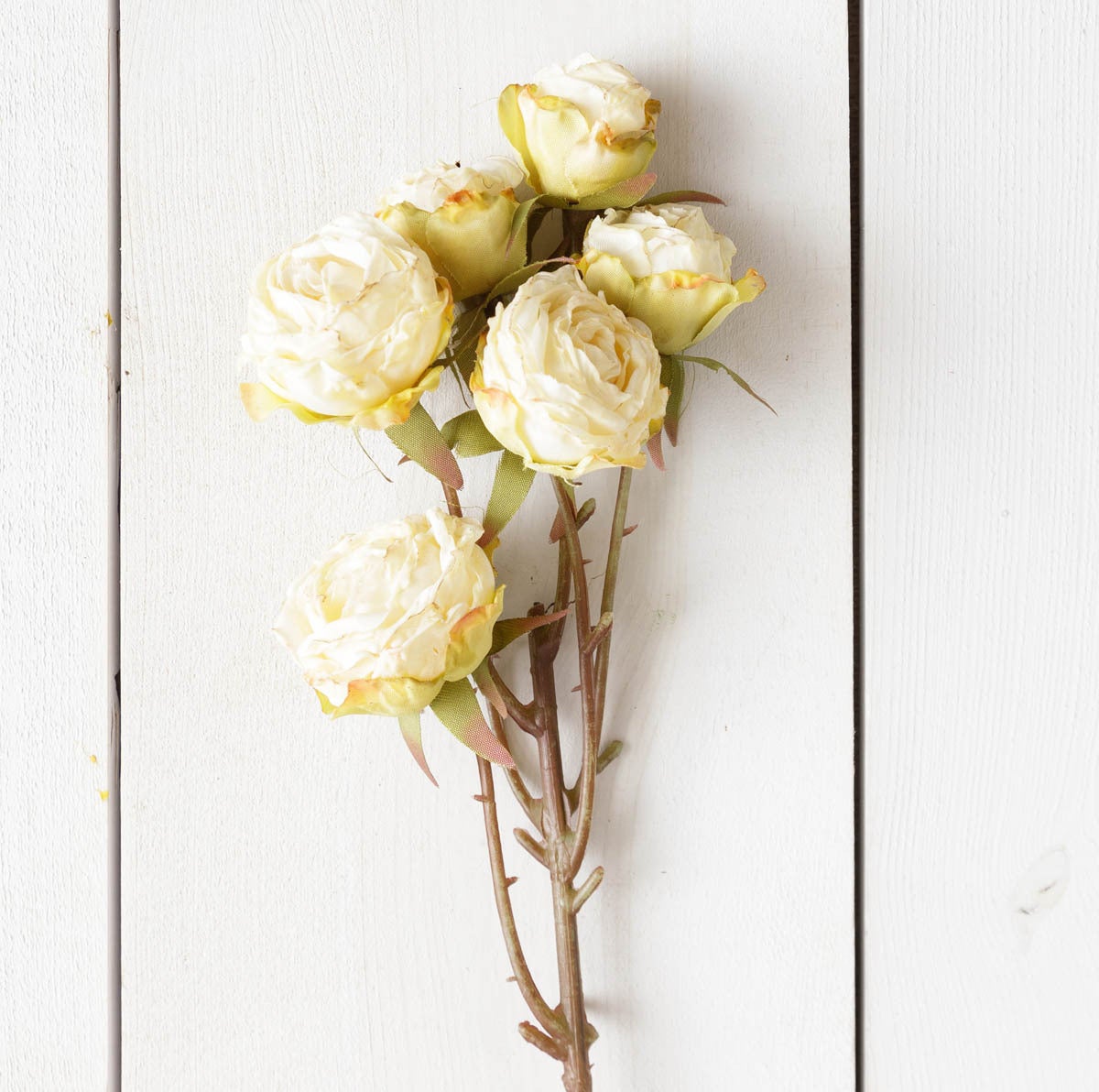FLORALL